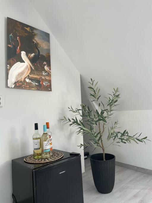 Appartement In Centrum Alkmaar Ngoại thất bức ảnh